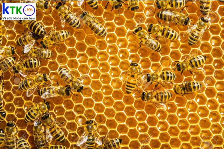 Mật ong rất tốt, uống vào thời điểm nào tốt nhất?